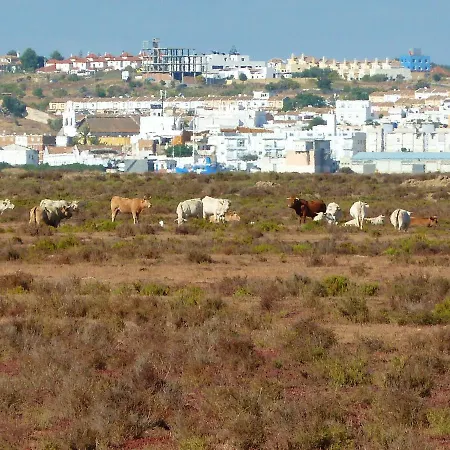 Charming House In Nova De Cacela With Garden Holiday home Vila Nova de Cacela