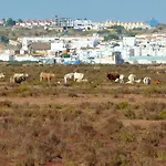 Charming House In Nova De Cacela With Garden Semesterbostad Vila Nova de Cacela